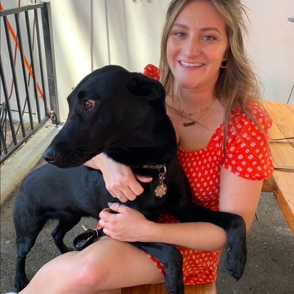 Sundress - Picture 4 of 4